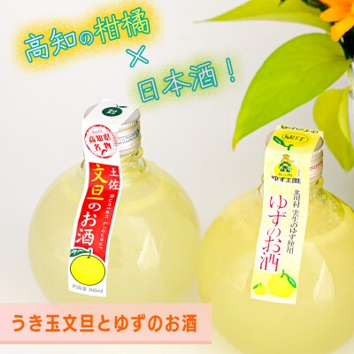 高知酒造 送禮之選 | 清爽文旦酒(浮玉裝)| 原箱12支